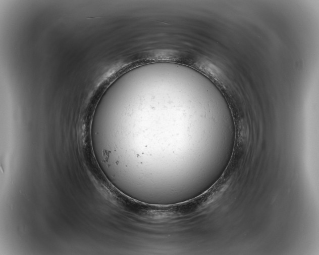 X0000086720351200704271615