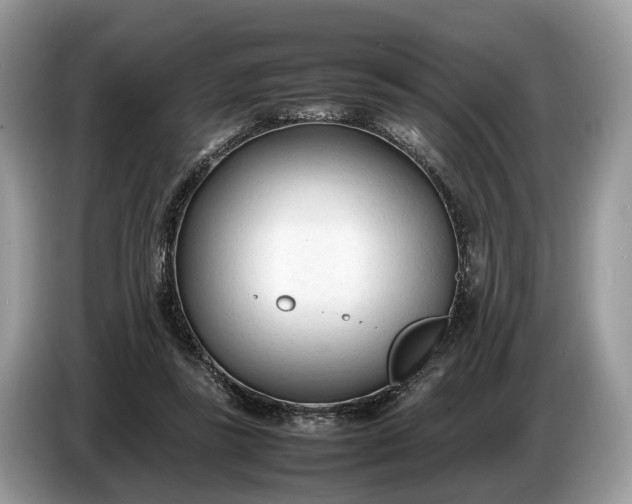 X0000086720355200704271615