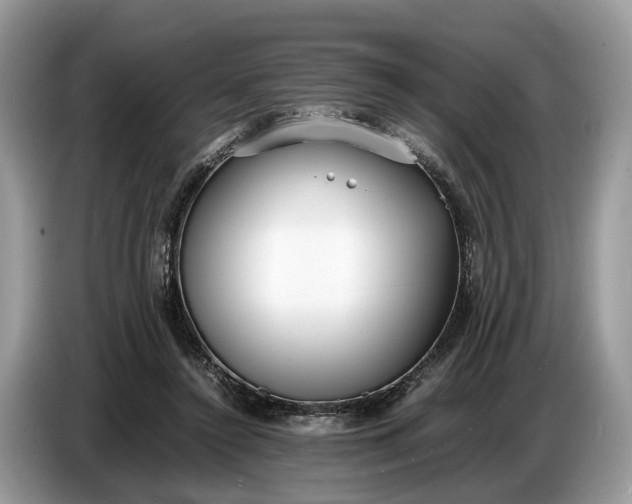 X0000086720356200704271615