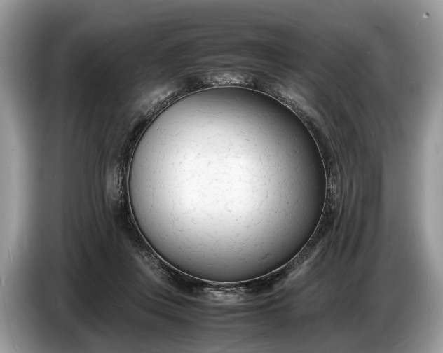 X0000086720359200704271615