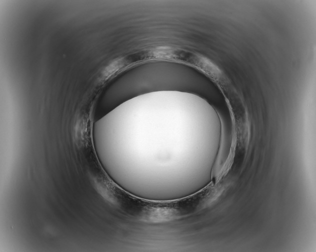 X0000086720360200704271615