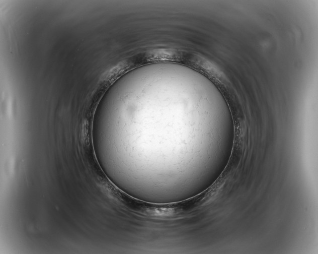 X0000086720361200704271615
