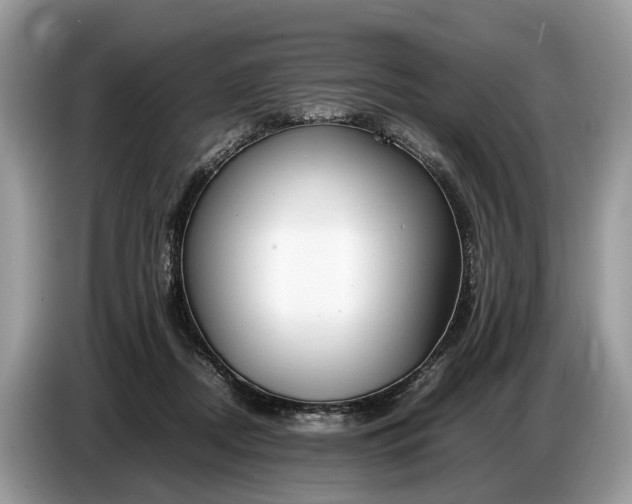 X0000086720362200704271615