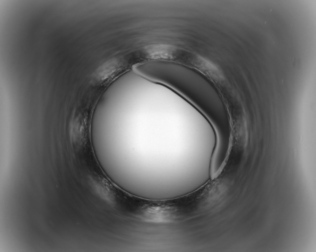 X0000086720364200704271615