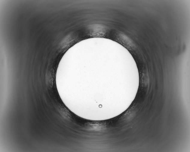 X0000086720370200704271615