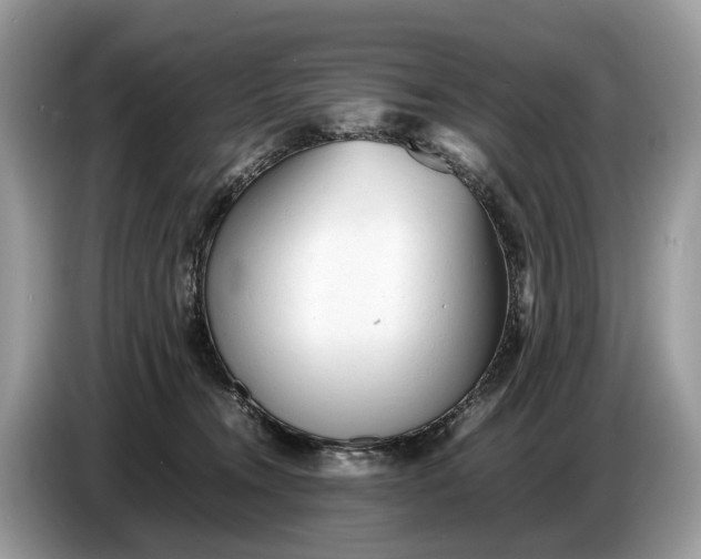 X0000086720372200704271615