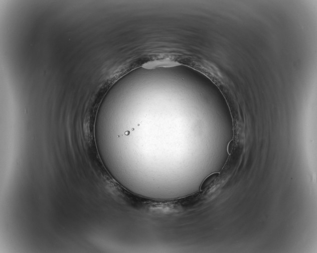 X0000086720377200704271615