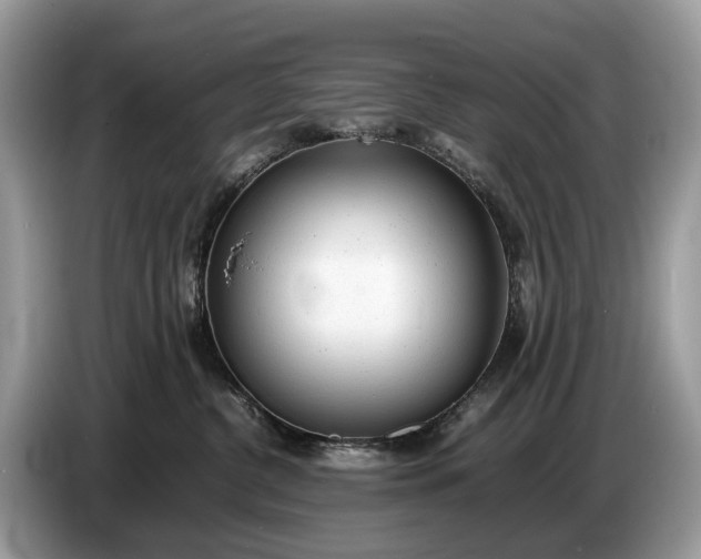 X0000086720380200704271615