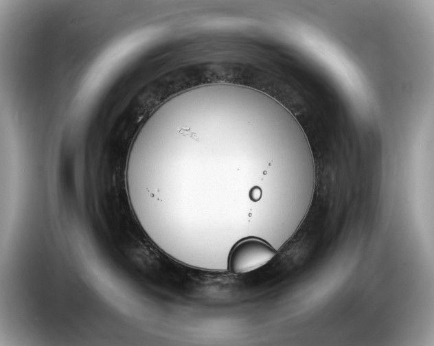 X0000086720382200704271615