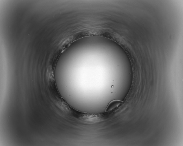 X0000086720384200704271615