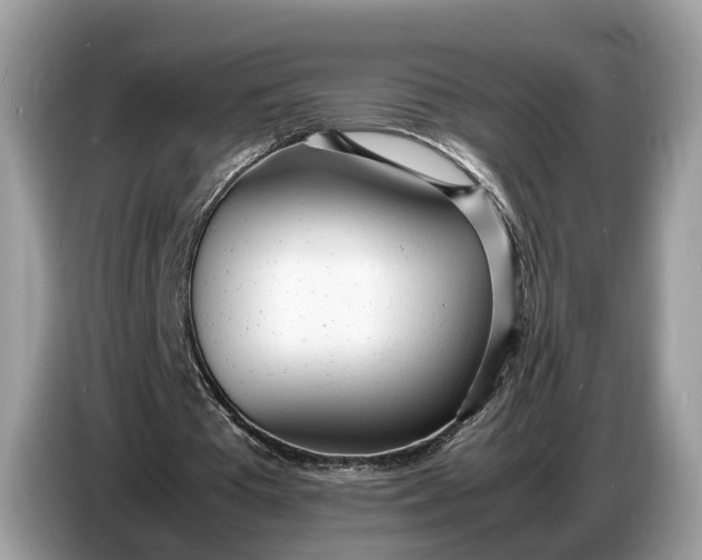 X0000086720385200704271615