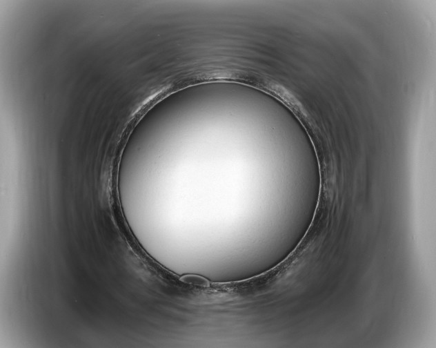 X0000086720386200704271615