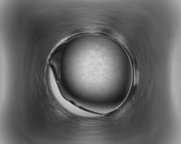 X0000086720387200704271615