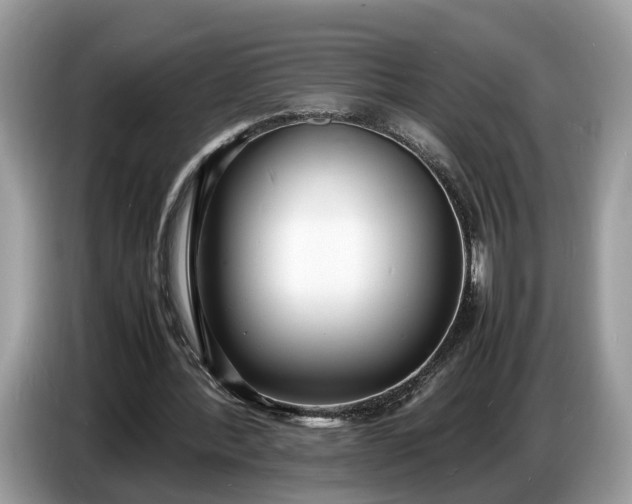 X0000086720388200704271615