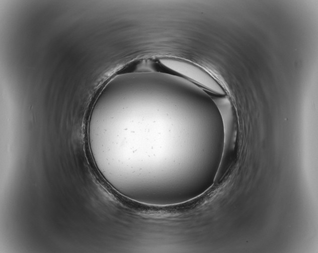 X0000086720389200704271615
