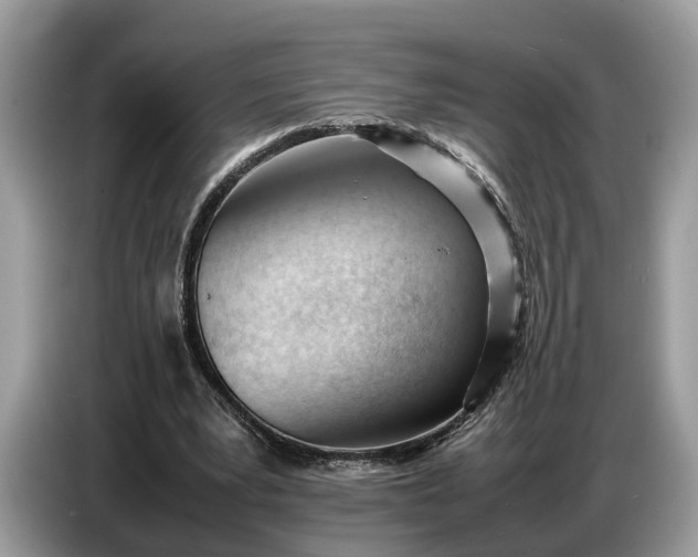 X0000086720391200704271615