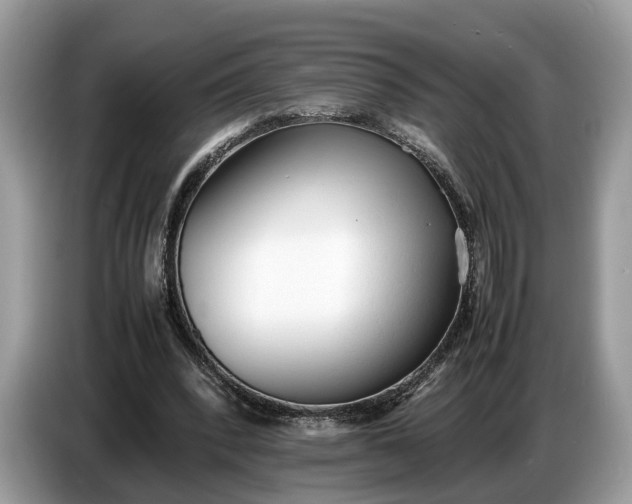 X0000086720392200704271615