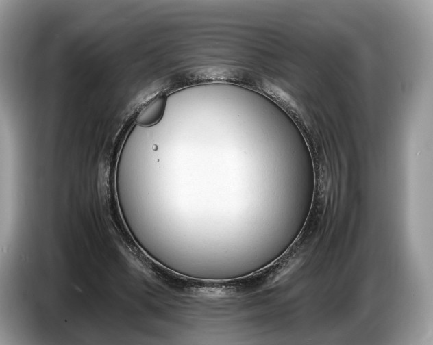 X0000086720394200704271615