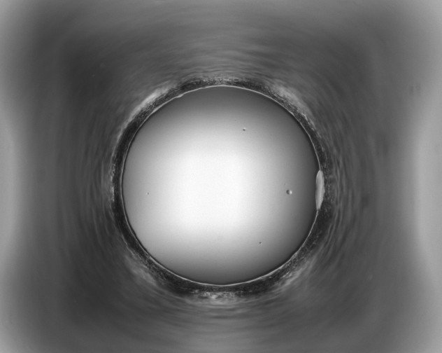 X0000086720395200704271615