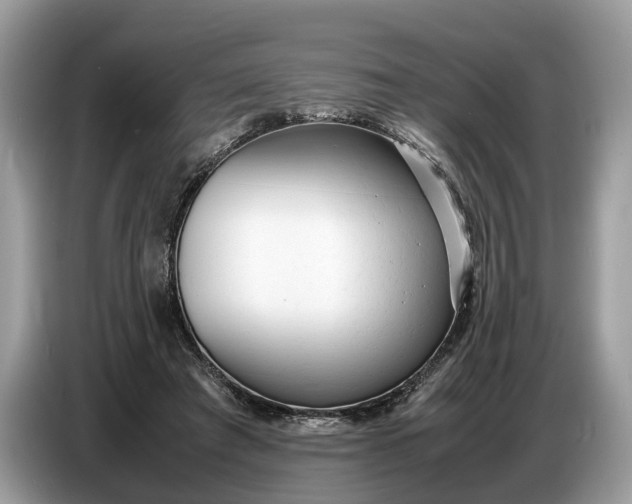 X0000086720401200704271615