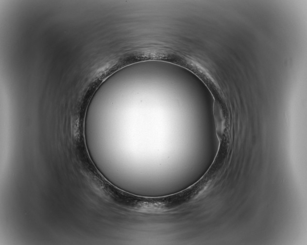 X0000086720403200704271615