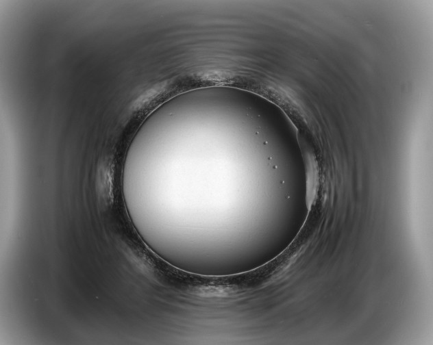 X0000086720404200704271615