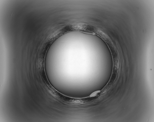 X0000086720409200704271614