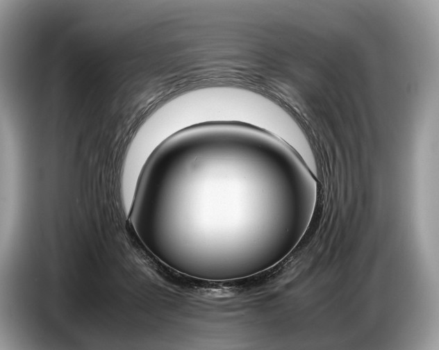 X0000086720411200704271614