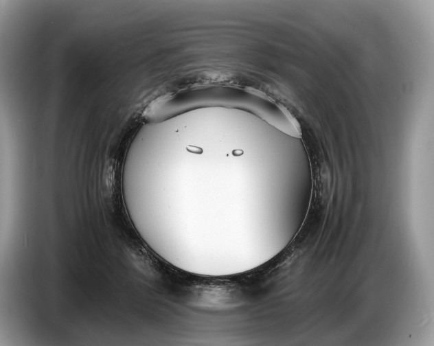 X0000086720412200704271614