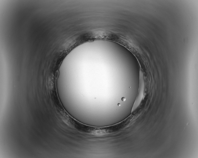 X0000086720413200704271614