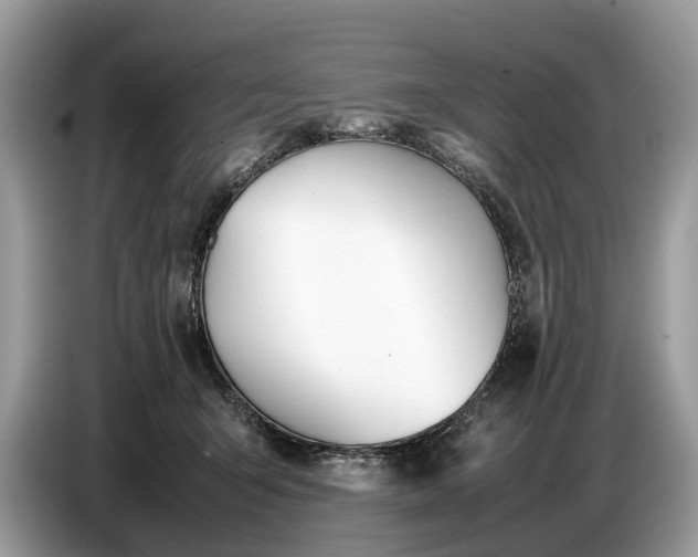 X0000086720415200704271614