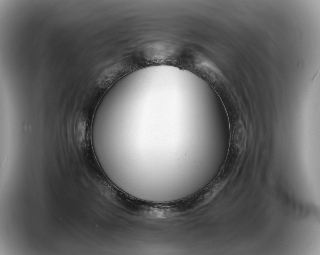 X0000086720420200704271614
