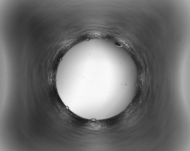 X0000086720423200704271614