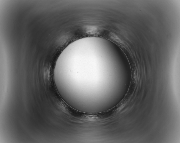 X0000086720424200704271614
