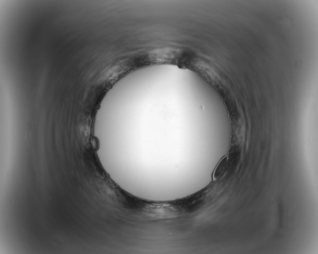 X0000086720427200704271614