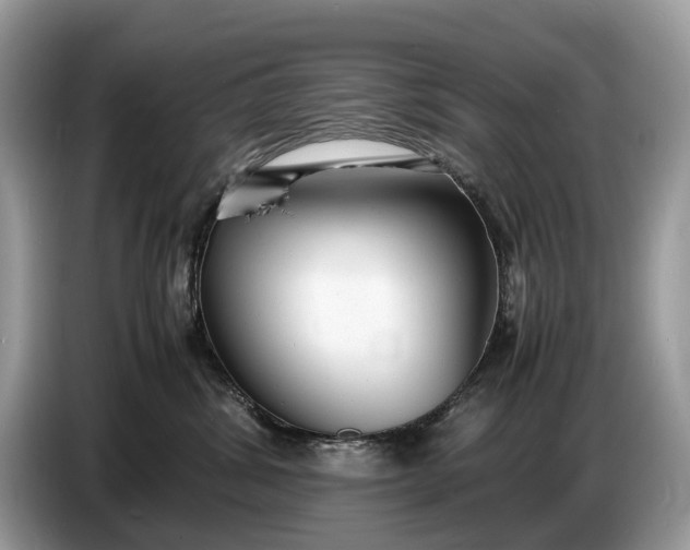 X0000086720428200704271614
