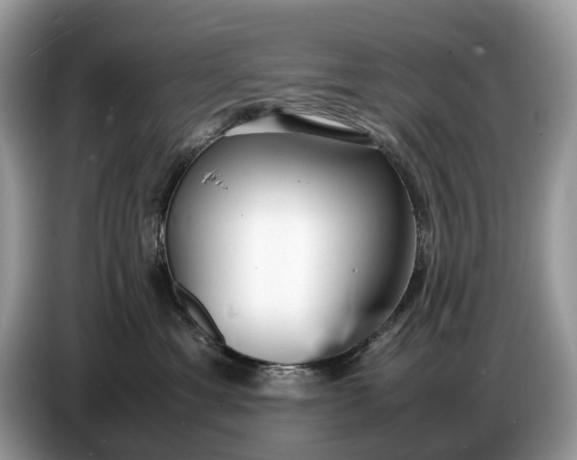 X0000086720429200704271614