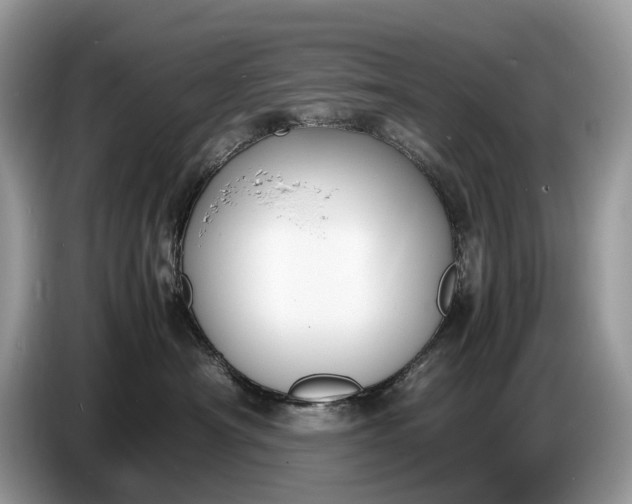 X0000086720430200704271614