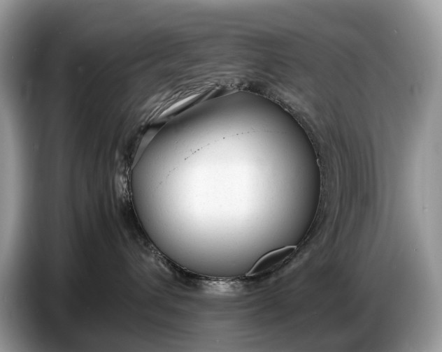 X0000086720432200704271614