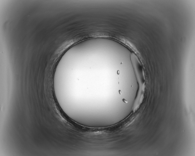 X0000086720433200704271614