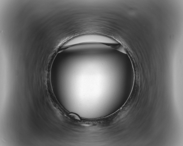 X0000086720434200704271614