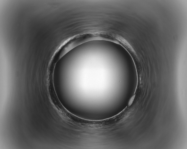 X0000086720436200704271614