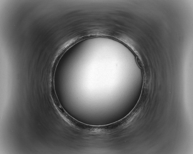 X0000086720437200704271614