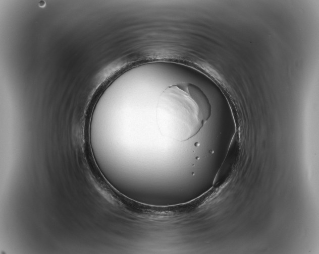 X0000086720438200704271614