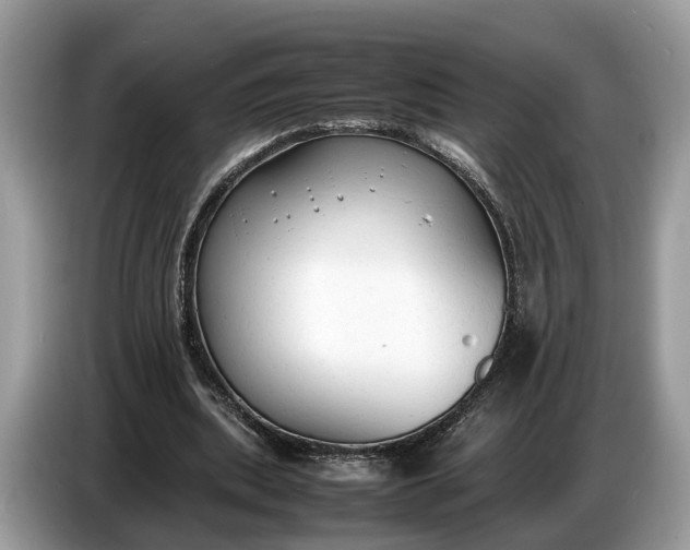 X0000086720439200704271614