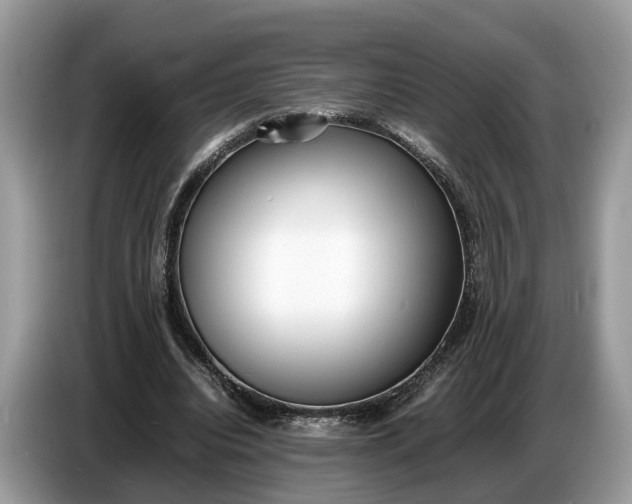 X0000086720440200704271614