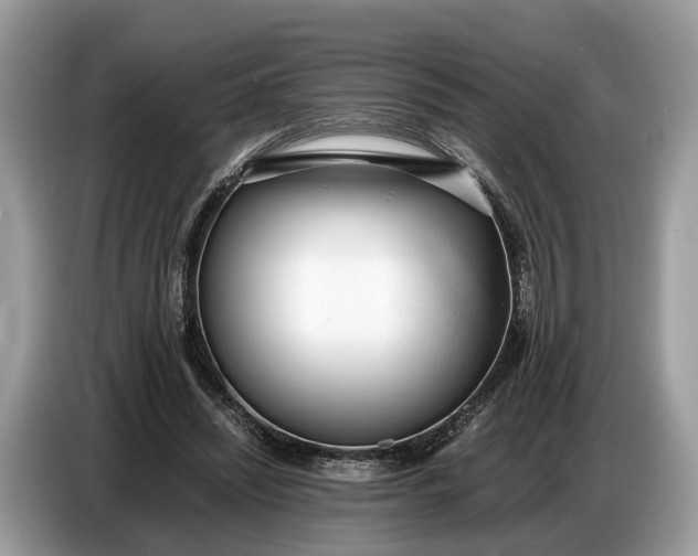 X0000086720444200704271614