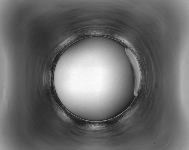 X0000086720445200704271614