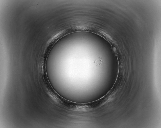 X0000086720446200704271614