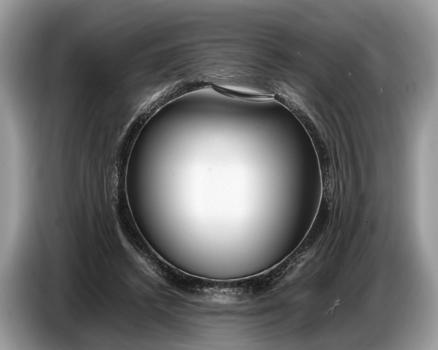X0000086720448200704271614